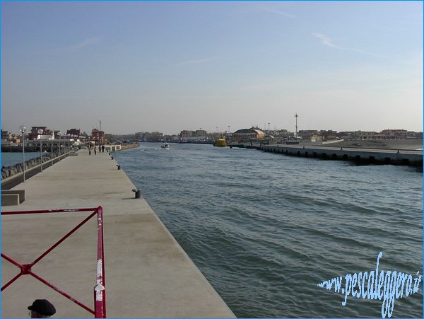 Fiumicino panoramica.jpg