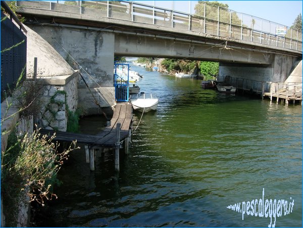 ponte torrecanneto.JPG